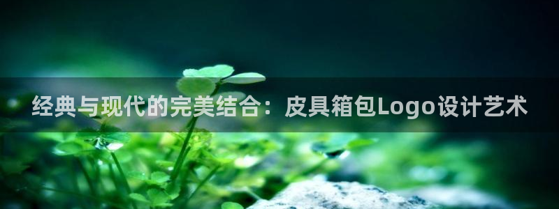 必一体育服下载最新版本更新内容