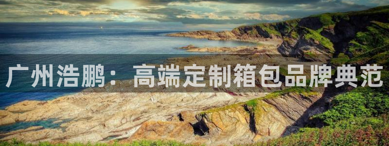 Bsport体育必一