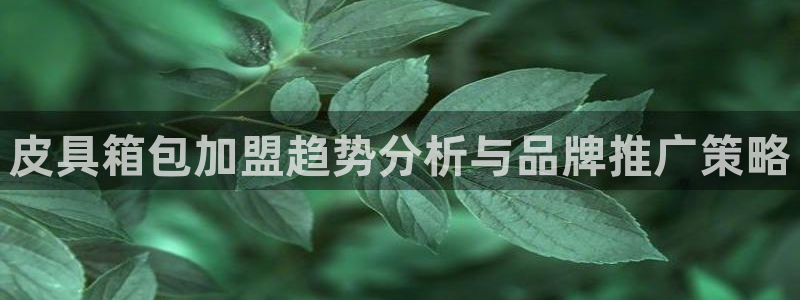 必一体育官网app