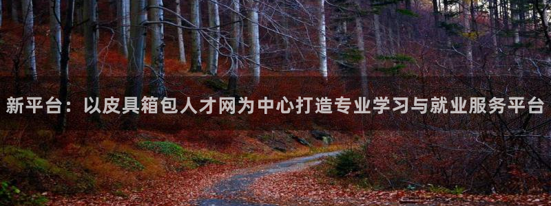 b体育必一下载