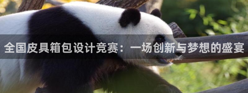 必一体育在线玩