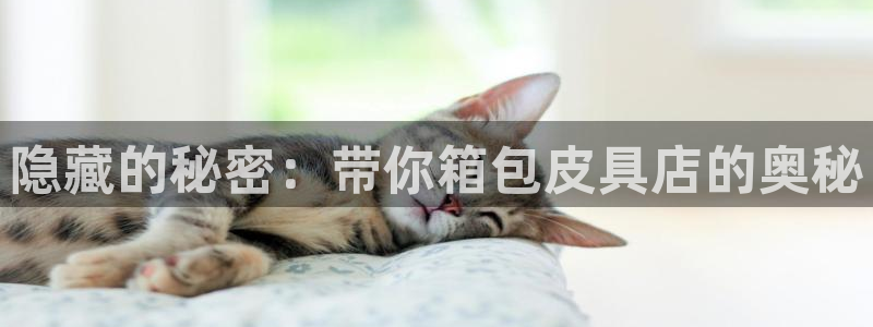 必一体育游戏特色