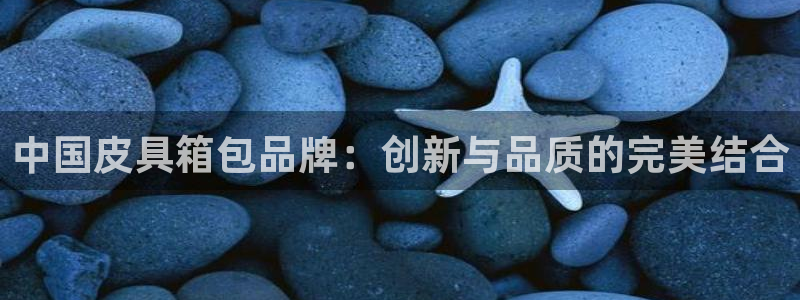 必一体育bsport下载