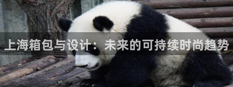 必一体育可靠吗