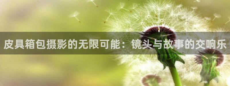 必一体育登录APP下载