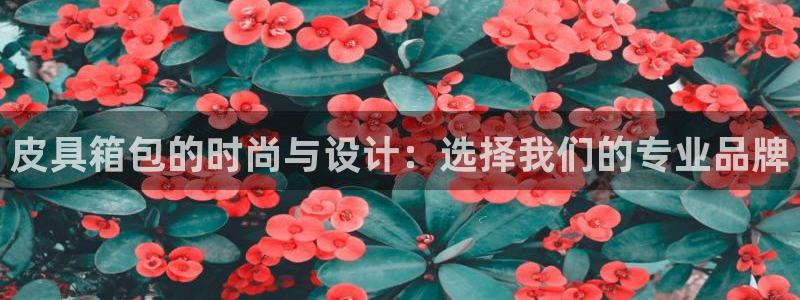 必一体育秀给网
