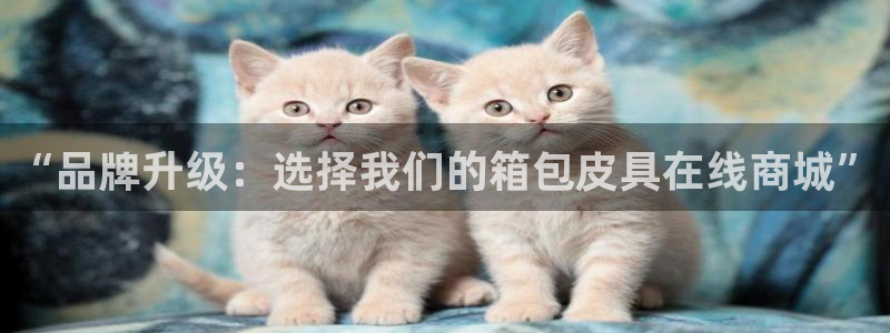 Bsport体育app必一