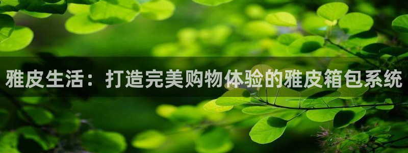 必一体育平台