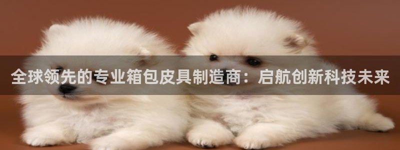 必一体育网页版登录