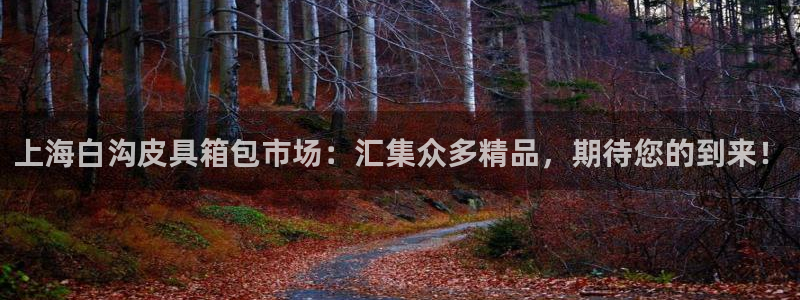 必一体育下载移动版