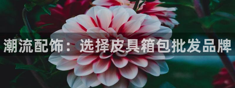 必一体育网页登陆