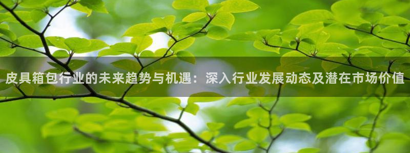 必一体育sport装机吧