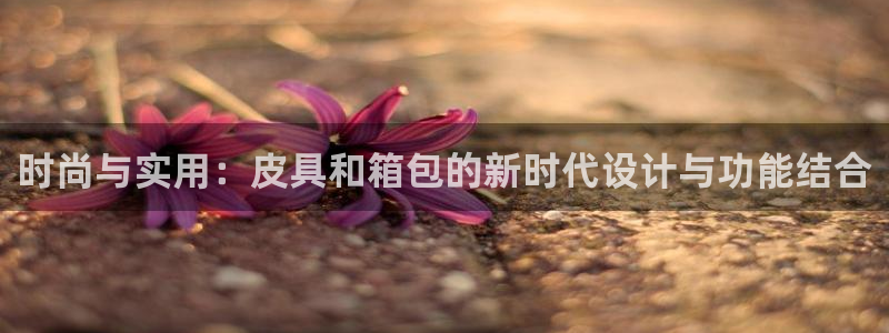 必一体育官网网站