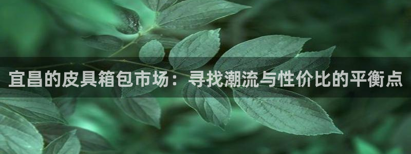 必一体育网页登录版官网