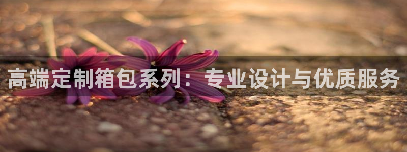 必一体育是啥