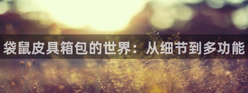 必一体育黑钱
