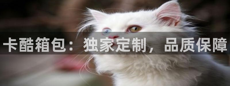 必一体育秀给网