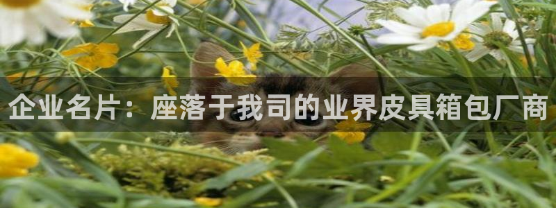 必一体育游戏特色