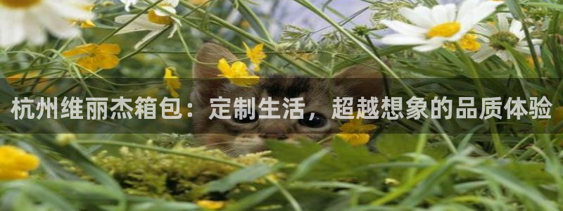 必一运动tieba.baidu.com