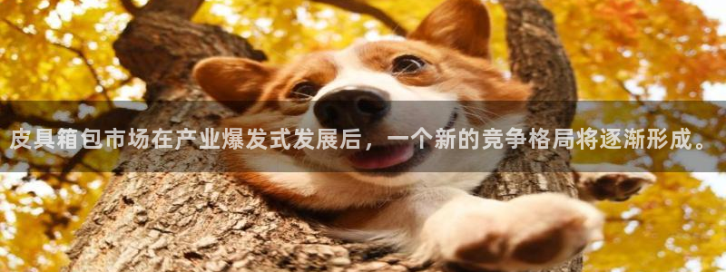 必一运动·(B-sports)