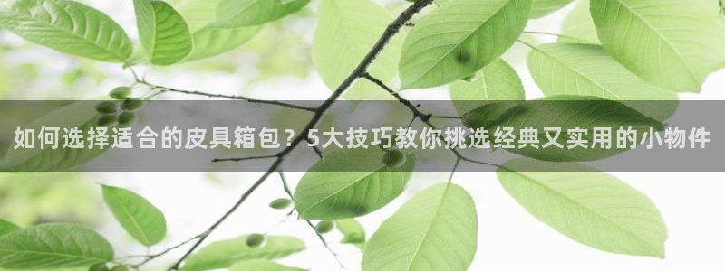 必一体育app官方下载入口