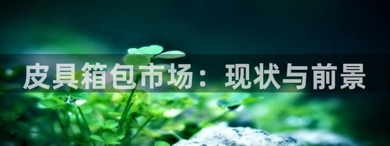 必一运动官网装机吧