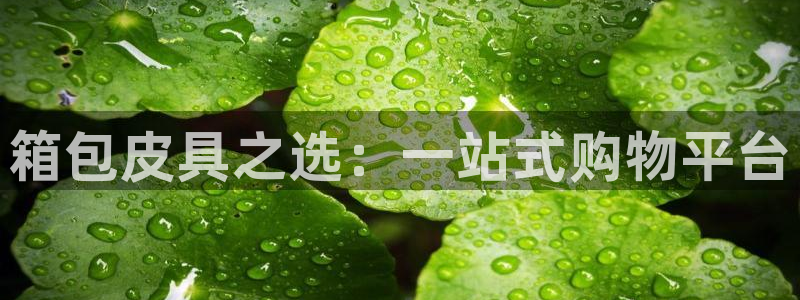 必一运动短信