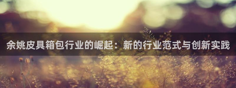 必一体育sport