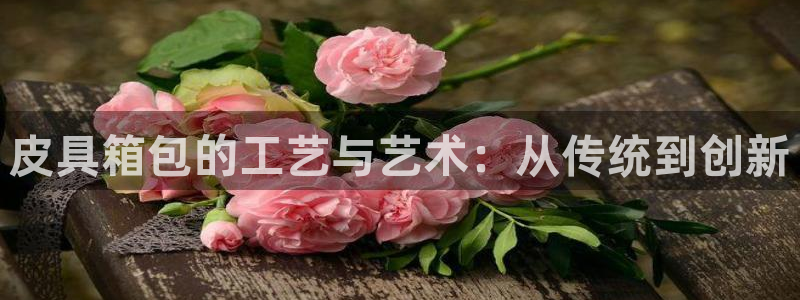 必一体育app官方网站