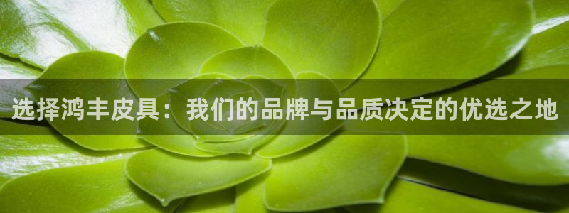 必一体育sport