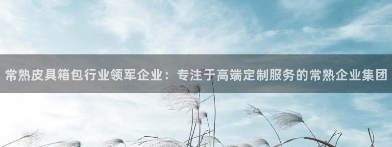 必一体育黑平台