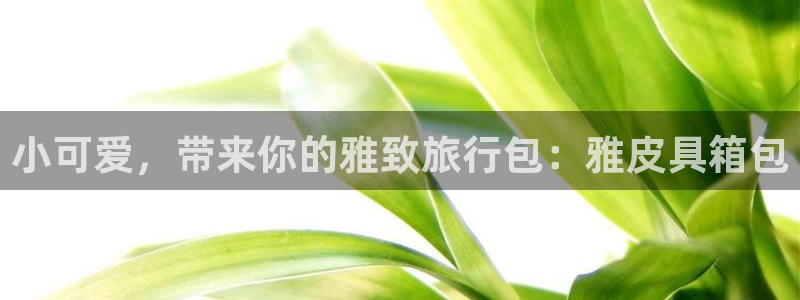 必一运动B-Sport官方网站入口