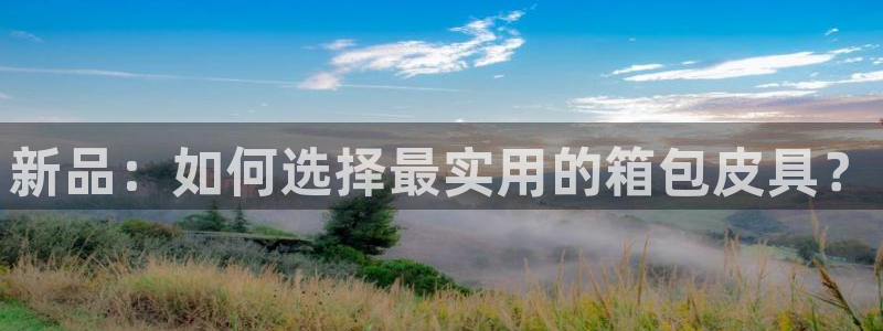 必一体育合法吗
