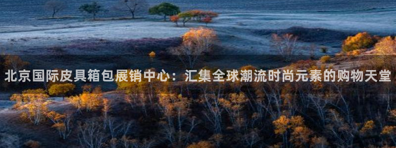 必一体育在线入口