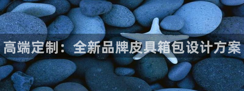 必一运动体育官网