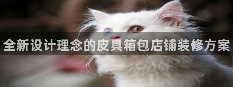 必一体育bsport下载