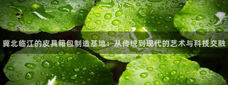 必一体育在线下载