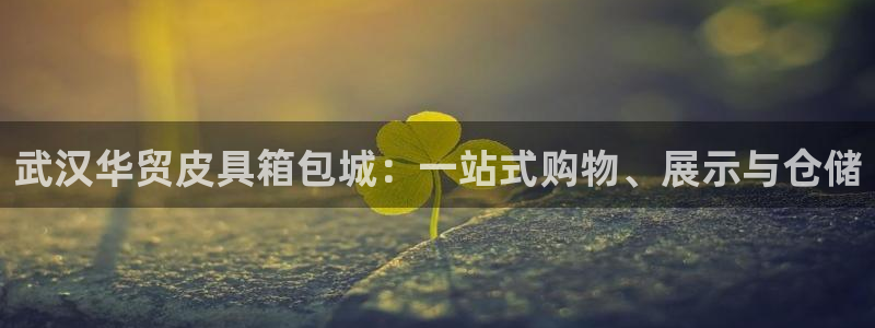 必一体育登录入口