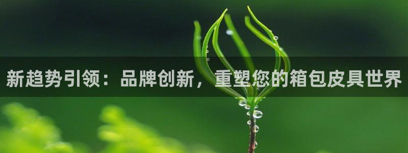 必一体育旧版