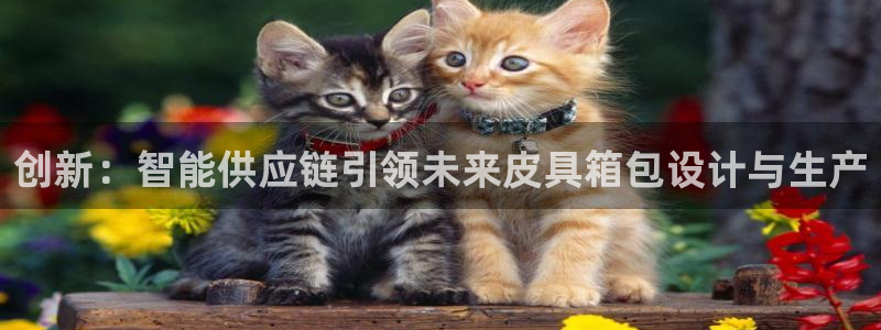 必一体育官网app