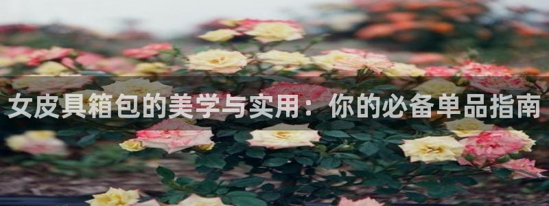 必一体育周公