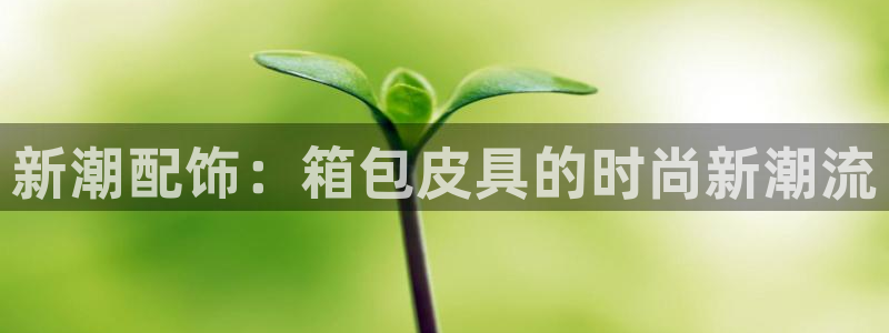 必一体育app官方