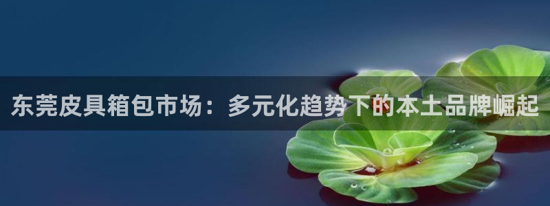 必十二和必一的副作用