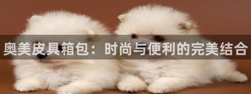 必一体育sport官网