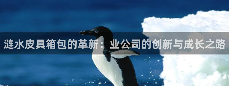 必一运动bsport体育app下载