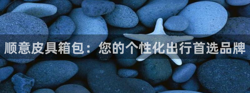 必一体育登录入口APP