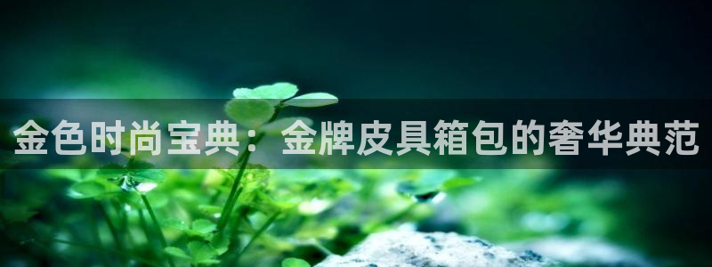 必一体育app下载最新版本