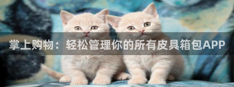 必一运动 b 体育素描版