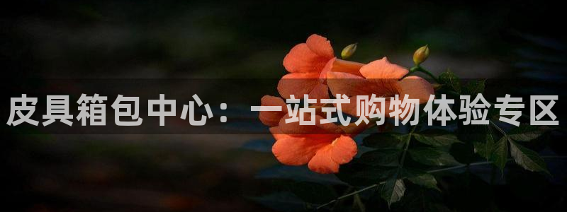 必一体育怎么下载
