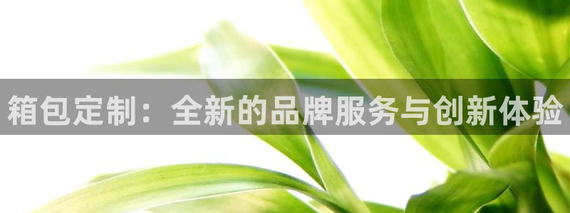 必一运动sport爱查股